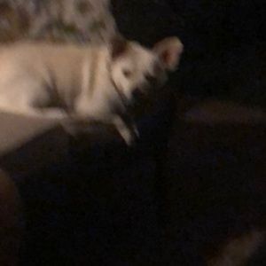 Meet your Posher, Maria